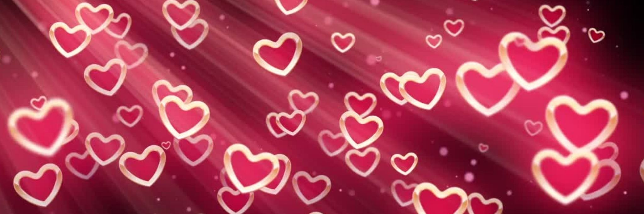herzblatt - Banner